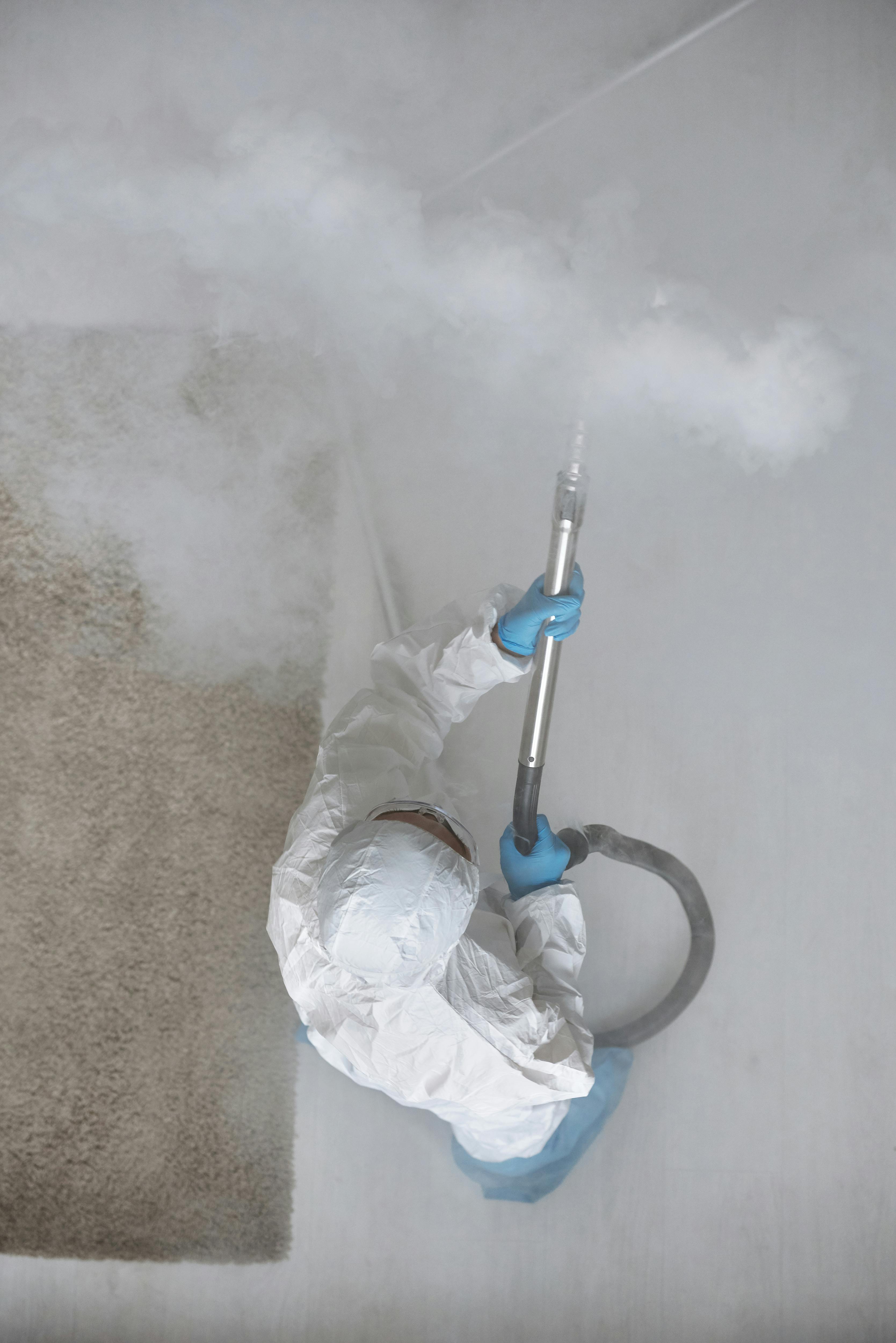 Applying mold remover