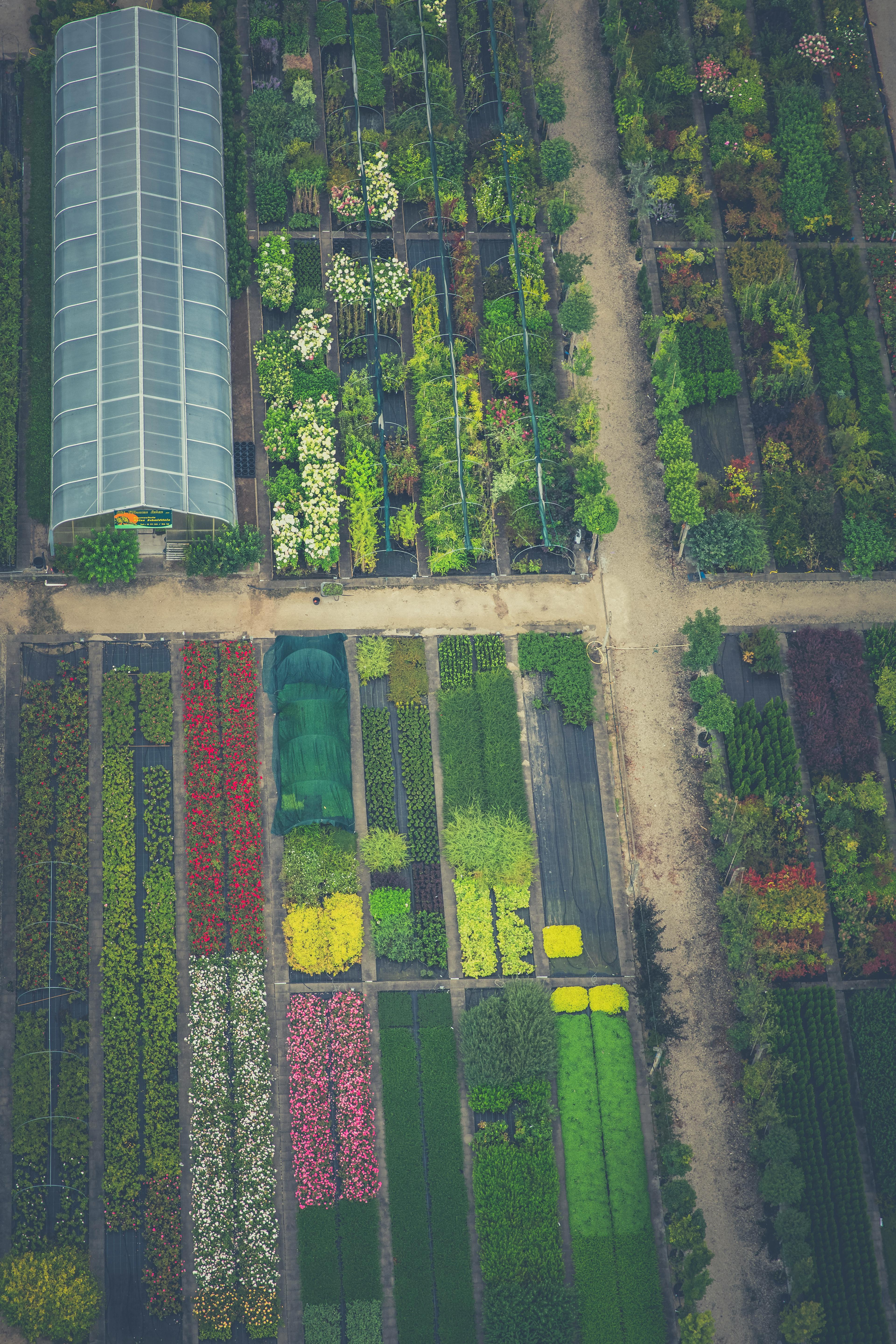 Beispiel für eine gelungene Gartenplanung